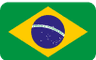 BRAZIL flag